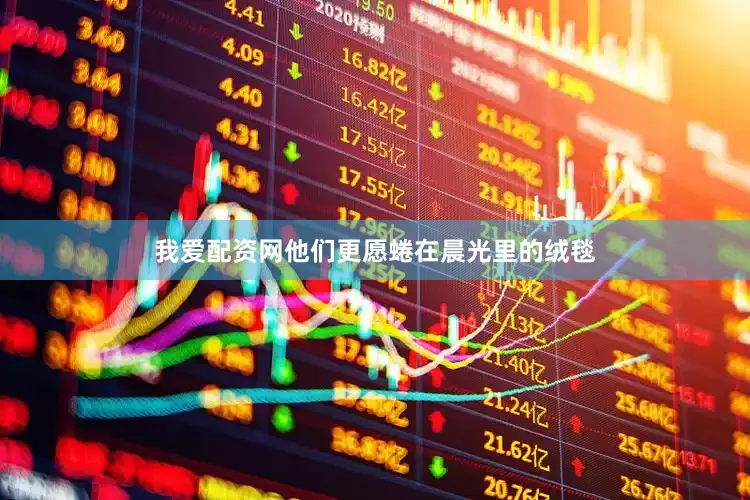 我爱配资网他们更愿蜷在晨光里的绒毯