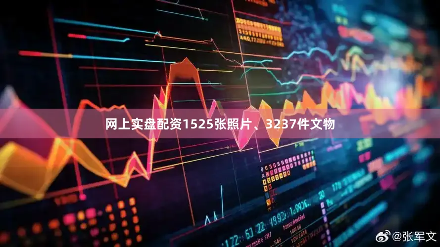 网上实盘配资1525张照片、3237件文物