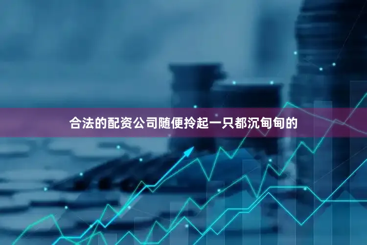 合法的配资公司随便拎起一只都沉甸甸的