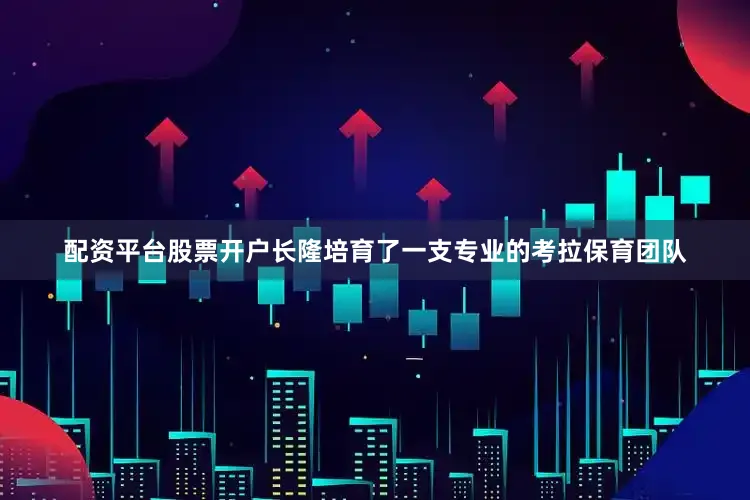 配资平台股票开户长隆培育了一支专业的考拉保育团队