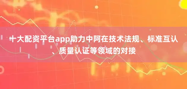 十大配资平台app助力中阿在技术法规、标准互认、质量认证等领域的对接