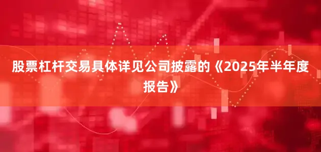 股票杠杆交易具体详见公司披露的《2025年半年度报告》
