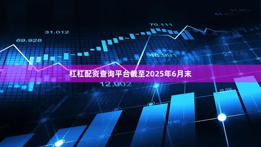 杠杠配资查询平台截至2025年6月末