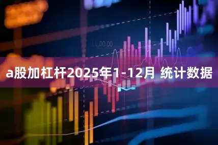 a股加杠杆2025年1-12月 统计数据