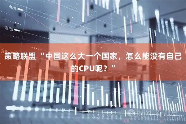 策略联盟 “中国这么大一个国家，怎么能没有自己的CPU呢？”
