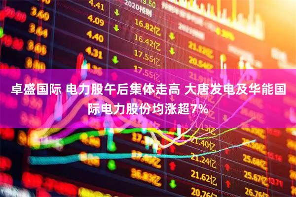 卓盛国际 电力股午后集体走高 大唐发电及华能国际电力股份均涨超7%